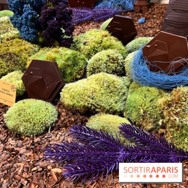 Alain Ducasse - Chocolats de Noël 2023 - 16C69F91 3DF8 4C50 91C9 D060A4D0ECC6