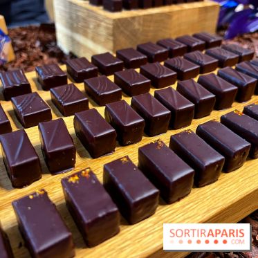 Alain Ducasse - Chocolats de Noël 2023 - 00817EE2 785D 442B A23E 8514DA957F4A