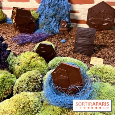 Alain Ducasse - Chocolats de Noël 2023 - 973A5822 D4BE 4CC9 84F6 572CA753A144