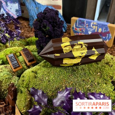 Alain Ducasse - Chocolats de Noël 2023 - ADE7453F 8589 4CBF B619 4ACEEF6C6339