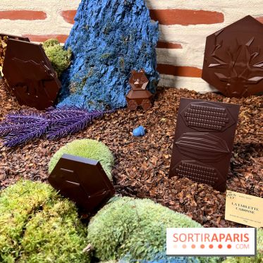 Alain Ducasse - Chocolats de Noël 2023 - F294480A 28D4 4055 AE42 265FE00C39D4