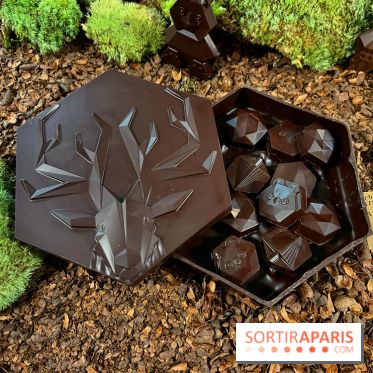 Alain Ducasse - Chocolats de Noël 2023 - FF7AC281 5BCF 4FB7 B9D6 B91F033AC06D