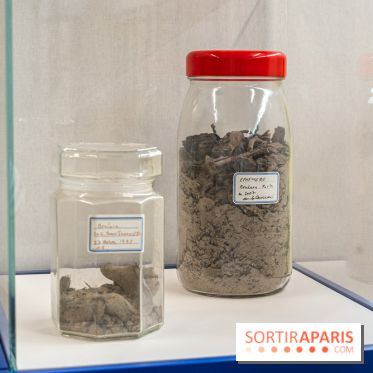 Exposition Gérard Zlotykamien alias Zloty à Paris -  A7C1537