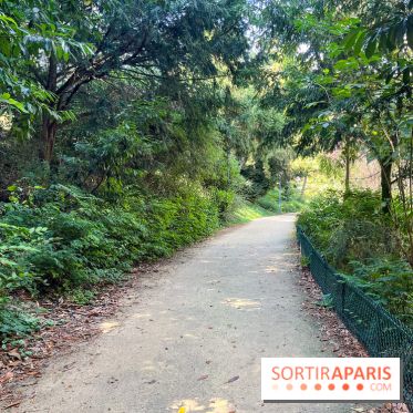 Parc de la butte du chapeau rouge  - image00816