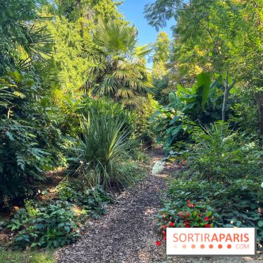 Parc de la butte du chapeau rouge - image00795