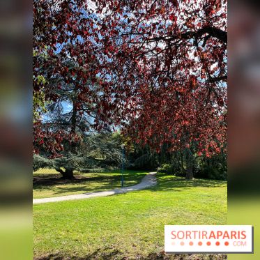 Parc de la butte du chapeau rouge - image00799