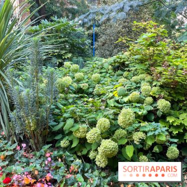 Parc de la butte du chapeau rouge - image00787