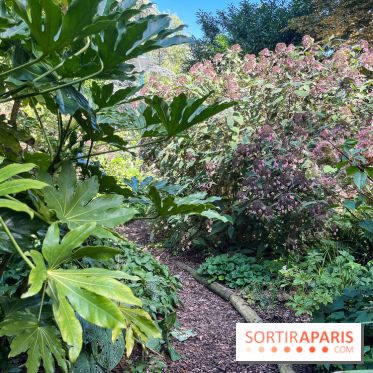 Parc de la butte du chapeau rouge - image00788