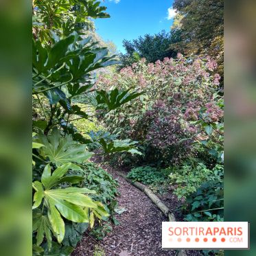 Parc de la butte du chapeau rouge - image00789