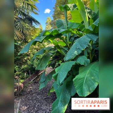 Parc de la butte du chapeau rouge - image00790