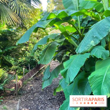 Parc de la butte du chapeau rouge - image00791