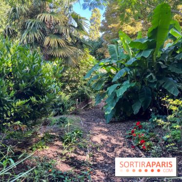 Parc de la butte du chapeau rouge - image00792