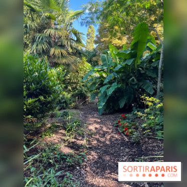 Parc de la butte du chapeau rouge - image00793