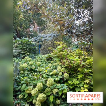 Parc de la butte du chapeau rouge - image00780