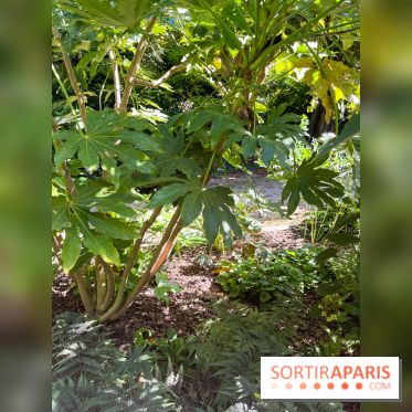 Parc de la butte du chapeau rouge - image00784