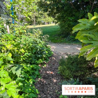 Parc de la butte du chapeau rouge - image00786