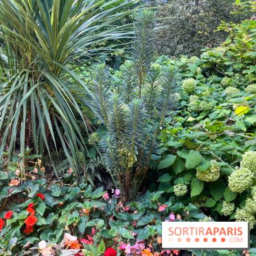 Parc de la butte du chapeau rouge - image00778