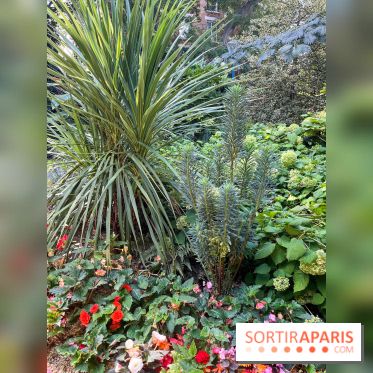 Parc de la butte du chapeau rouge - image00779