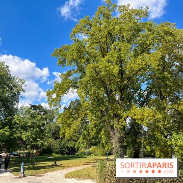 Parc de la butte du chapeau rouge
