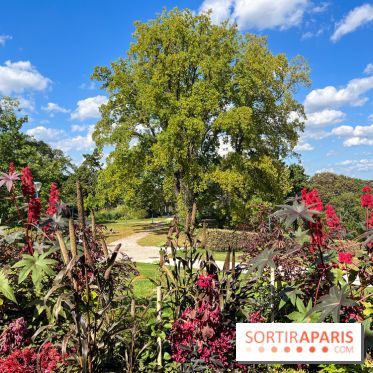 Parc de la butte du chapeau rouge