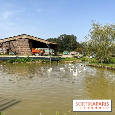 La Ferme des 4 Etoiles à Auffargis - image00048