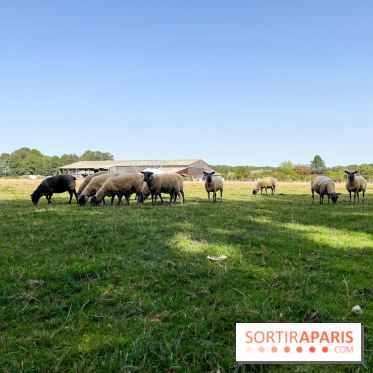 La Ferme des 4 Etoiles à Auffargis - image00047