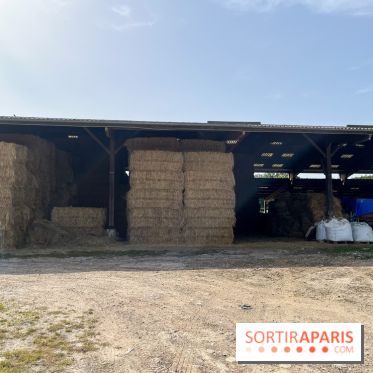La Ferme des 4 Etoiles à Auffargis - image00029