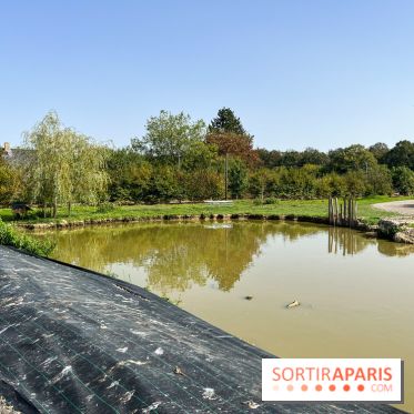 La Ferme des 4 Etoiles à Auffargis - image00031