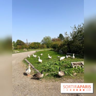 La Ferme des 4 Etoiles à Auffargis - image00033