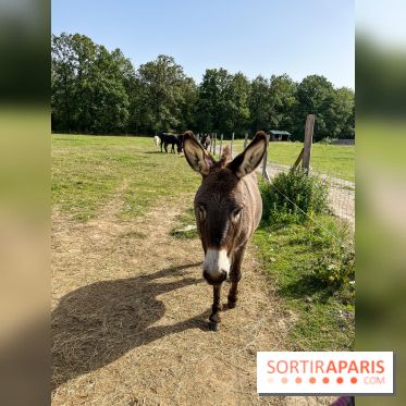 La Ferme des 4 Etoiles à Auffargis - image00035