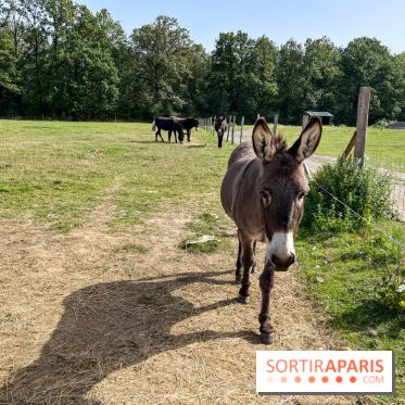 La Ferme des 4 Etoiles à Auffargis - image00036