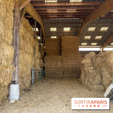 La Ferme des 4 Etoiles à Auffargis - image00028