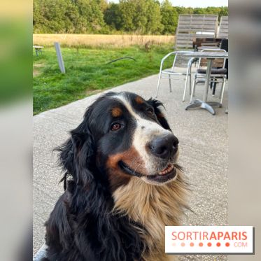 La Ferme des 4 Etoiles à Auffargis - image00006