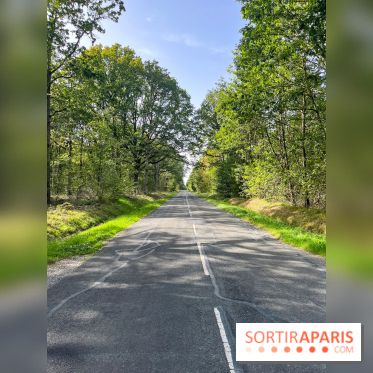 La Ferme des 4 Etoiles à Auffargis - image00011