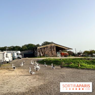 La Ferme des 4 Etoiles à Auffargis - image00003