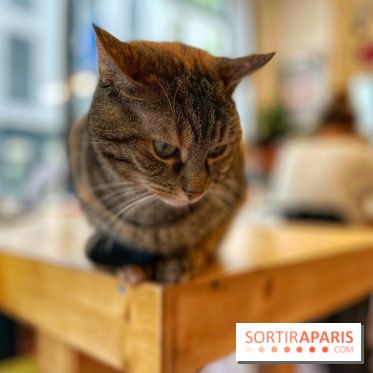 La Régulière - IMG 5295