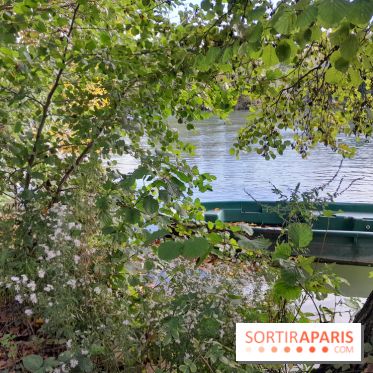 Les bords de Marne - image00014