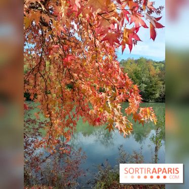 Les bords de Marne - image00004