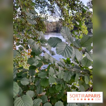 Les bords de Marne