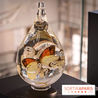 Exposition des Larmes de Joie de Benoit Dutour au Printemps Haussmann  -  A7C1369