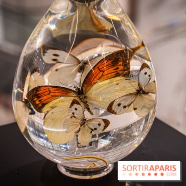 Exposition des Larmes de Joie de Benoit Dutour au Printemps Haussmann  -  A7C1367