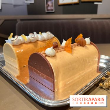 Hugo & Victor - Bûche de Noël 2023 marron-clémentine