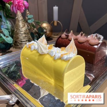 Hugo & Victor - Bûche de Noël 2023 citron-verveine