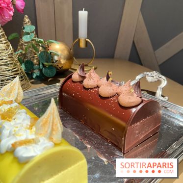 Hugo & Victor - Bûche de Noël 2023 chocolat