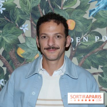 ©Rachid Bellak - La Fantaisie - vincent dedienne 2 