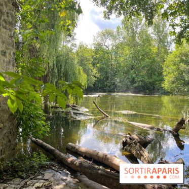 Un week-end le long du Loing, de Montigny-sur-Loing à Thomery