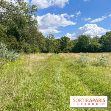 Un week-end le long du Loing, de Montigny-sur-Loing à Thomery - image00208