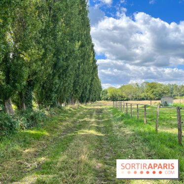 Un week-end le long du Loing, de Montigny-sur-Loing à Thomery