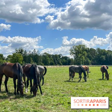 Un week-end le long du Loing, de Montigny-sur-Loing à Thomery