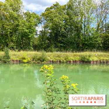 Un week-end le long du Loing, de Montigny-sur-Loing à Thomery